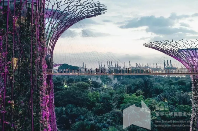 新加坡13家娱乐场所及旅游景点获得政府批准将在7月1日重新开放