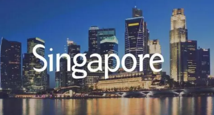 新加坡留学签证办理流程,新加坡留学与移民服务中心,新加坡留学学历